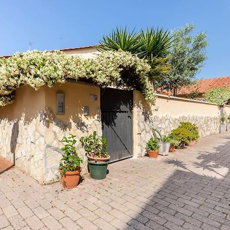 Casa “Oasi Del Mare” Apartman Livorno Kültér fotó